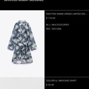 Zara sheer dress. Size M-L